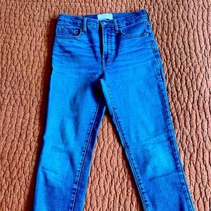 Everlane Skinny Jeans